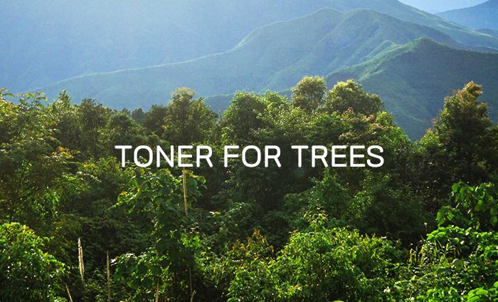 Dear, Klairs wants to add a helping hand to the restoration of forest damage in Uljin