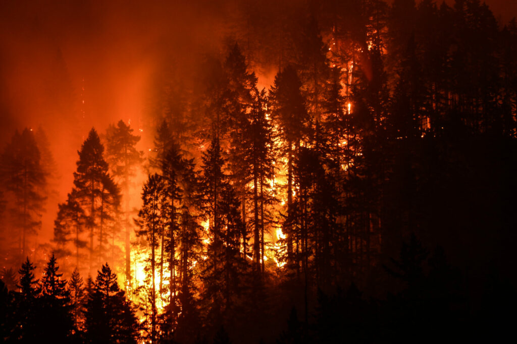 The longest-running forest fire in history has caused tremendous damage